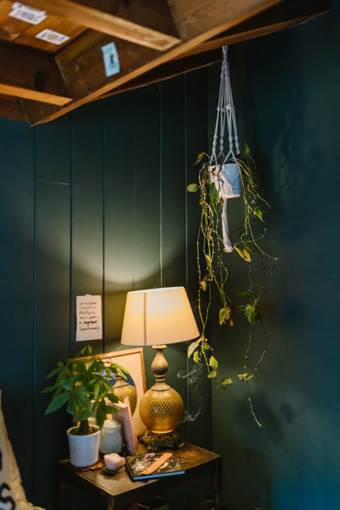 services-02 A warm, inviting indoor space featuring a lamp and hanging plants, perfect for relaxation.